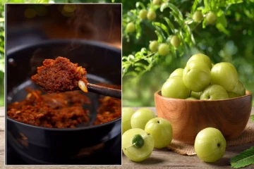 நாவூரும் சுவையில் நோய் எதிர்ப்பு ஆற்றலை அதிகரிக்கும் நெல்லிக்காய் தொக்கு... பண்ணலாமா?