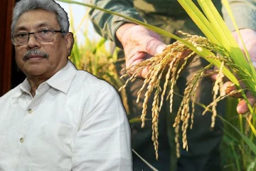 கோட்டாபயவின் தீர்மானத்தினால் நாட்டுக்கு ஏற்பட்ட நெருக்கடி