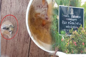 யாழில் தவளையுடன் விற்பனை செய்யப்பட்ட ஐஸ்கிறீம்: நீதிமன்றம் பிறப்பித்துள்ள உத்தரவு