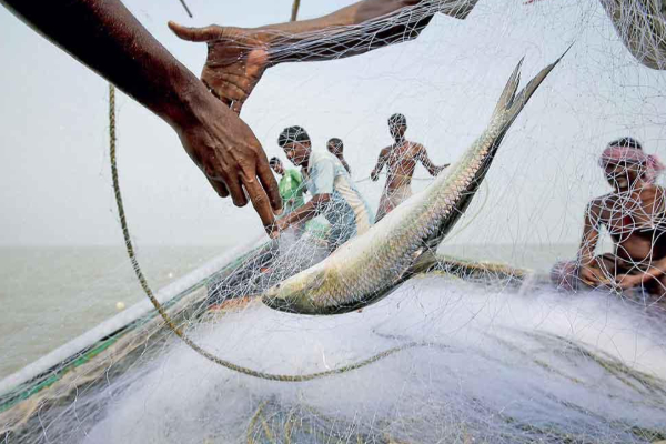 கடற்றொழிலாளர்களுக்கு வெளியான மகிழ்ச்சி செய்தி..! | Fishermen Pension Restart Good News For Fishers