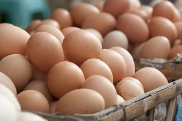 அமெரிக்காவில் களவுபோன ஒரு லட்சம் முட்டைகள்!