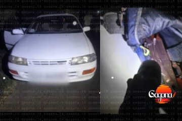 ටී 56 ගිනිඅවියක් හා පතොරොම් තොගයක් හමුවෙයි