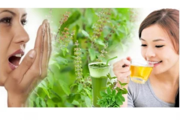 அடேங்கப்பா... தண்ணீரில் ஊற வைத்த துளசியை குடித்து வந்தால் இவ்வளவு நன்மைகள் இருக்கா? நீங்களே பாருங்கள்