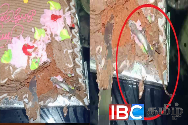 பிறந்த நாளுக்கு வாங்கிய கேக்கில் இறந்து கிடந்த பல்லியால் அதிர்ச்சி
