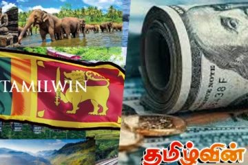 சுற்றுலாத்துறை மூலம் நாட்டிற்கு கிடைத்துள்ள பல மில்லியன் வருமானம்