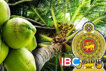 நீங்கப்போகும் தேங்காய் தட்டுப்பாடு: இன்று தொடங்கும் வேலைத்திட்டம்