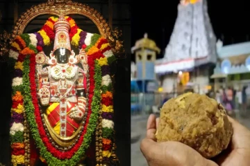 திருப்பதி லட்டு விவகாரம்; தோஷம் நீங்க பக்தர்களுக்கு பரிகாரம் அறிவித்த தேவஸ்தானம்