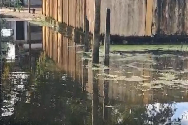 வெள்ளத்தில் மூழ்கிய மட்டக்களப்பு ; துண்டிக்கப்பட்ட போக்குவரத்து | Batticaloa Flooded Transport Disrupted