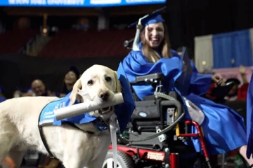 டிப்ளமோ பட்டம் பெற்ற வளர்ப்பு நாய்!