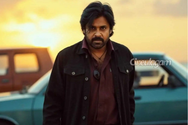 முன்னணி நடிகரும், துணை முதலமைச்சருமான பவன் கல்யாண் சொத்து மதிப்பு எவ்வளவு தெரியுமா? | Actor Pawan Kalyan Net Worth Details
