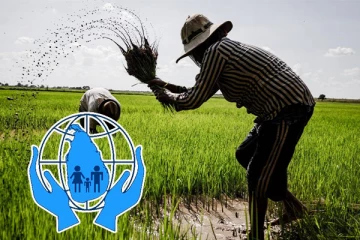 மன்னார் விவசாயிகளுக்கு சிறுபோகம் வழங்கப்படாமை: மனித உரிமை ஆணைக்குவில் முறைப்பாடு