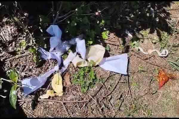 ஆலயம் உடைக்கப்பட்டு கொள்ளை | Temple Was Broken Into And Looted