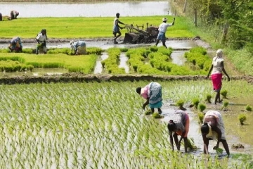 விவசாயிகளுக்கு மகிழ்ச்சித் தகவல்: இடைநிறுத்தப்படவுள்ள வரித்திட்டம்