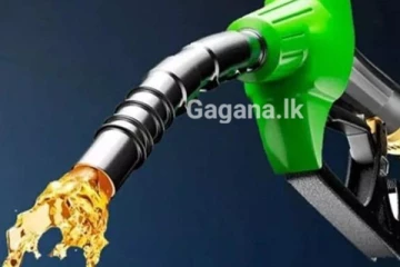 සිනොපෙක් ඉන්ධන පිරවුම්හල් 50ක්