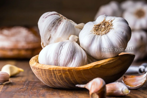 மீனா கணவர் உயிரைப் பறித்த நுரையீரல் தொற்று! நுரையீரலை பாதுகாக்க எந்தெந்த உணவு உட்கொள்ள வேண்டும்? | Actress Meena Husband Death Lungs Safe Food Tamil