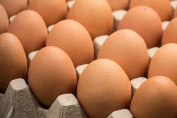 ලක්ෂ 08ක් බිත්තර කොළඹට - පිරිසකට නොමිලේ බිත්තර..