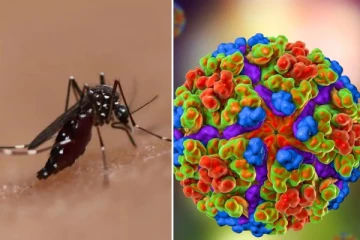 வேகமாக பரவும் சிக்குன்குனியா நோய் பாதிப்புகள்! ஆசிய நாடொன்றுக்கு பயண எச்சரிக்கை