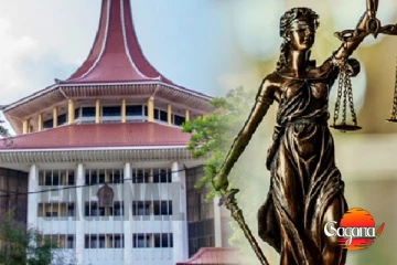 හිටපු ජනාධිපතිවරුන්ගේ හිමිකම් ඉවත් කිරීමේ පනතට එරෙහි පෙත්සම් විභාගය අවසන්