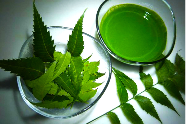 இரத்த சர்க்கரை அளவு எகிறாமல் இருக்கணுமா? உடனே இந்த ஒரு பானத்தை  குடிங்க... | Drink Recipe Blood Sugar Levels