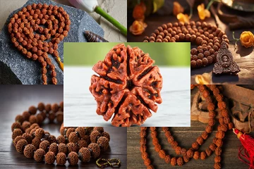 உலகிலேயே விலையுயர்ந்த ருத்ராட்சம் : எது தெரியுமா !