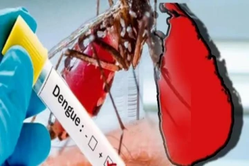 கிழக்கில் இரு டெங்கு மரணங்கள் - மக்களுக்கு விடுக்கப்பட்டுள்ள எச்சரிக்கை!