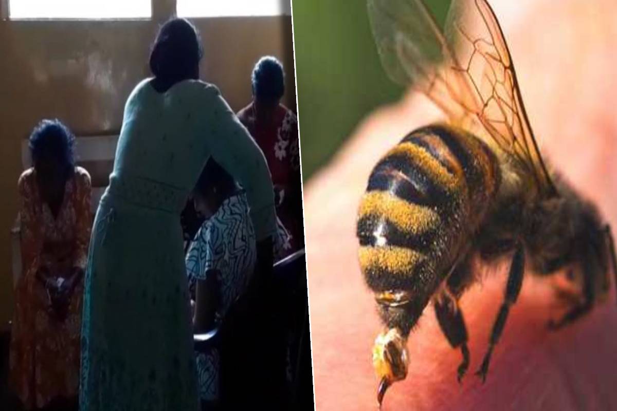 குளவி கொட்டுக்கு இலக்கான 12 தோட்டத் தொழிலாளர்கள் வைத்தியசாலையில் அனுமதி | 12 Plantation Workers Admitted To Hospital குளவி கொட்டுக்கு இலக்கான 12 தோட்டத் தொழிலாளர்கள் வைத்தியசாலையில் அனுமதி | 12 Plantation Workers Admitted To Hospital
