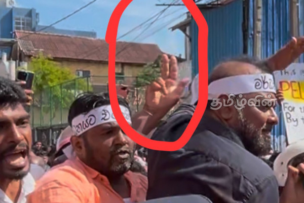 ரணிலுக்கு ஆதரவான போராட்டத்தில் பொலிஸாரை தாக்கியவர் கைது | Ranil Wickremesinghe Arrested Colombo Protest