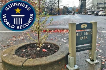 கின்னஸ் சாதனைப் புத்தகத்தில் இடம் பிடித்த பூங்கா!