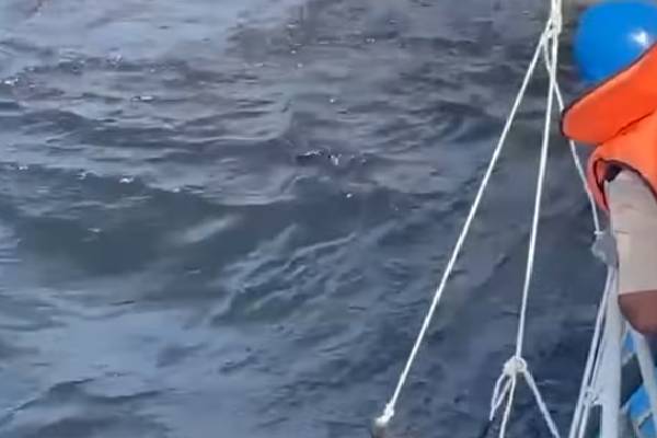 கொழும்புத் துறைமுகத்தில் மசகு எண்ணெய் கசிவு | Lubricating Oil Spill At Colombo Port கொழும்புத் துறைமுகத்தில் மசகு எண்ணெய் கசிவு | Lubricating Oil Spill At Colombo Port