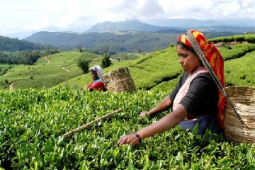 10 இலட்சம் பேர் வேலை இழக்கும் அபாயம் - வெளியான அதிர்ச்சிகர தகவல்