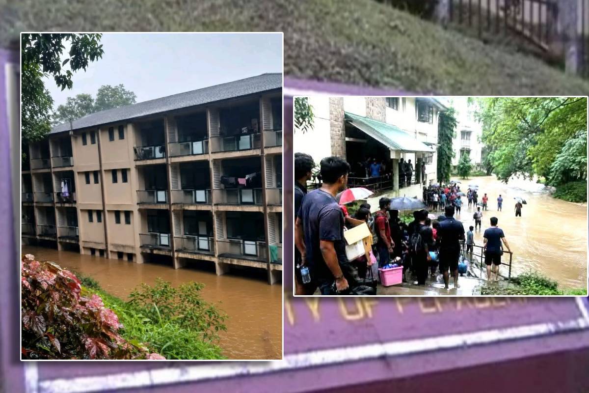 பேராதனைப் பல்கலை கல்வி நடவடிக்கைகள் மீண்டும் ஆரம்பம்! | Peradeniya Uni Academic Activities Will Resume பேராதனைப் பல்கலை கல்வி நடவடிக்கைகள் மீண்டும் ஆரம்பம்! | Peradeniya Uni Academic Activities Will Resume