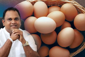 முட்டை விலை தொடர்பில் வெளியான தகவல்