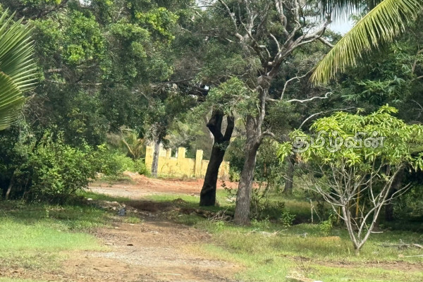 கிளிநொச்சியில் 16 ஆண்டுகளுக்குப் பின் விடுவிக்கப்பட்ட மக்களின் காணிகள் | Peoples Lands Released After 16 Years In Nallur