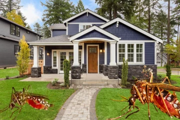 ஆறு மணிக்கு மேல் நுளம்புக் கடி அதிகமா இருக்கா? இத மட்டும் ட்ரை பண்ணுங்க போதும்!