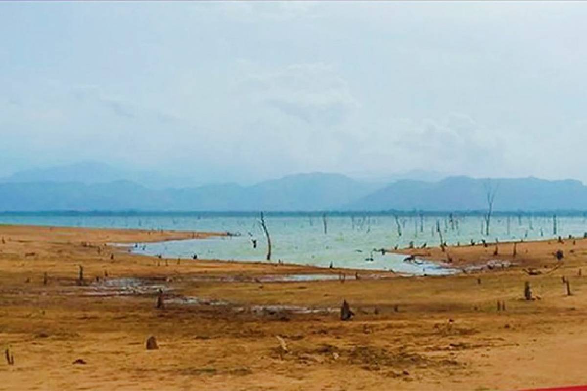 எல் நினோ உருவானால் செப்டம்பர் வரை வறட்சி: வளிமண்டவியல் திணைக்களத்தின் எச்சரிக்கை | Drought Until September If El Nino Weather Warns