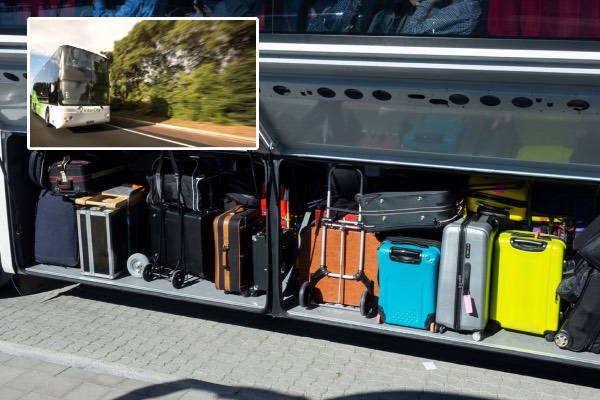 Toddler Found Alive in Suitcase Aboard New Zealand Bus