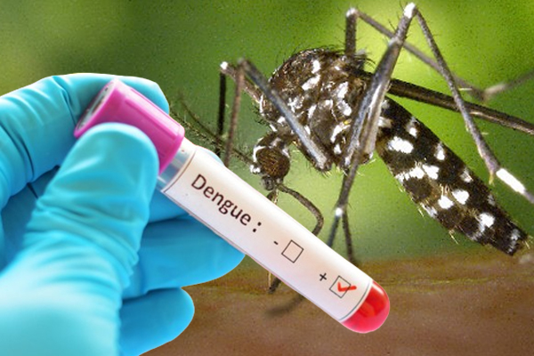 யாழ். பருத்தித்துறையில் டெங்கு பரவும் சூழல் - ஒரு இலட்சத்து 10 ஆயிரம் ரூபாய் தண்டம் | Dengue Case In Point Pedro One Lakh Rupees Fine