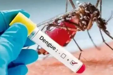 அபாயகரமான நிலைமை உருவாகும்! டெங்கு கட்டுப்பாட்டு பிரிவு எச்சரிக்கை