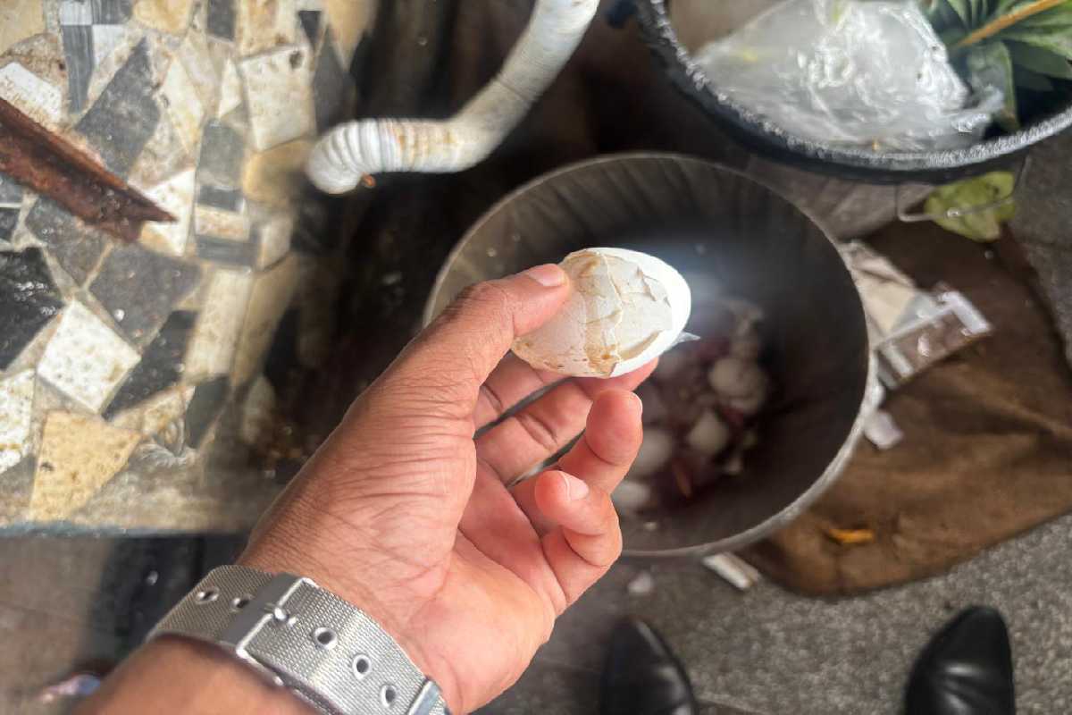 மன்னாரில் சுகாதார விதிமுறைகளை மீறிய பிரபல உணவகம் மீது சட்ட நடவடிக்கை | Legal Action Against Restaurant In Mannar மன்னாரில் சுகாதார விதிமுறைகளை மீறிய பிரபல உணவகம் மீது சட்ட நடவடிக்கை | Legal Action Against Restaurant In Mannar