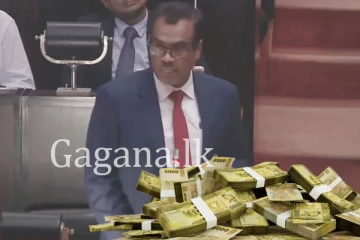 බිලියන 2600ක අතුරු සම්මත ගිණුම පාර්ලිමේන්තුවට. - ණය ගැනීම බිලියන 4000ක්.!