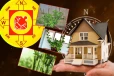 வீட்டில் அதிர்ஷ்டத்தைத் தரும் 3 செடிகள்: வைக்க வேண்டிய சரியான இடம் எதுன்னு தெரியுமா?