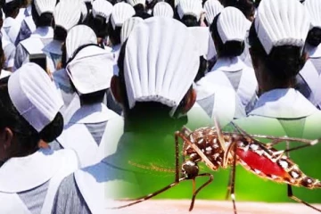 டெங்கு நோய் பரவலால் சிக்கலை எதிர்கொண்டுள்ள தாதியர்கள்