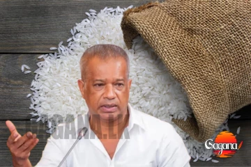 හාල් හිඟයක් ඇති වෙන්න දෙන්නෙ නෑ, අරක්කු හදන්නත් හාල් ආනයනය කරන බව කියන ලාල්