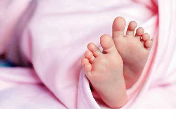 புத்தளத்தில் டெங்கு நோயால் குழந்தை உயிரிழப்பு