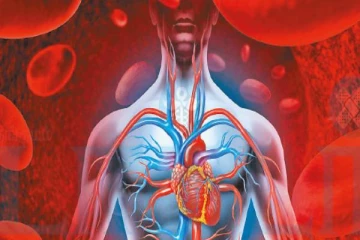 உடலில் ரத்த அழுத்த பிரச்சினைகள் ஏற்படுவதற்கான காரணங்கள் என்ன தெரியுமா?