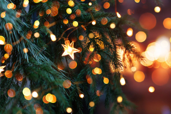 பொதுமக்களுக்கு விடுக்கப்பட்டுள்ள எச்சரிக்கை | Public Urged To Follow Electrical Safety