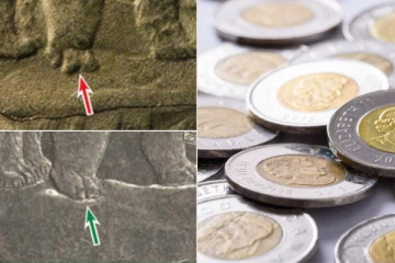 சீனாவிலிருந்து போலி நாணய குற்றிகளை இறக்குமதி செய்த கனடியருக்கு தண்டனை