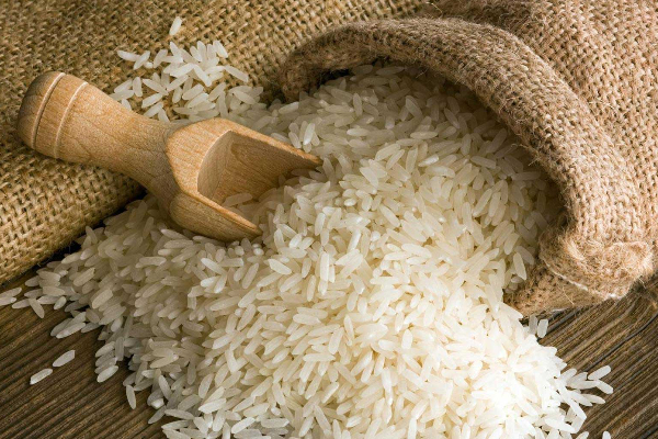 விவசாய அமைச்சு வெளியிட்ட முக்கிய தகவல்! | Important Information Ministry Of Agriculture
