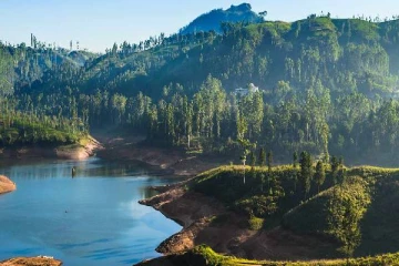 நாட்டில் வெகுவாக குறைவடையும் நீர்த்தேக்கங்களின் நீர் மட்டம்