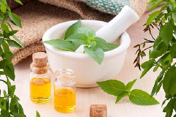 தமிழர் தேசத்தில் மலர்ந்தது கார்த்திகை பூ! | Karthigai Flower Has Bloomed In Land Of Tamils